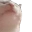 catjam
