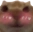 flushedcat