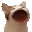 popcat